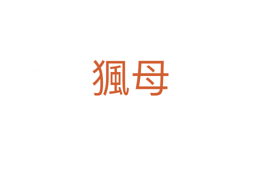 猦母