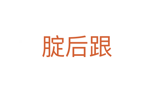 腚后跟