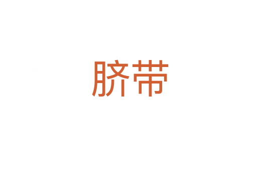 脐带