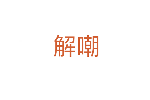 解嘲