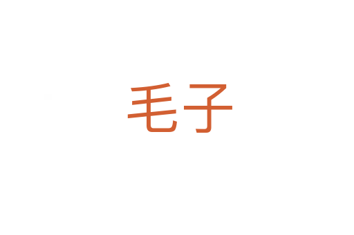 毛子