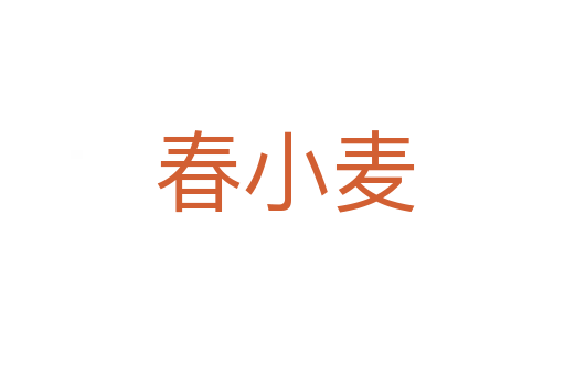 春小麦