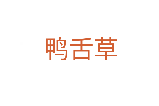 鸭舌草