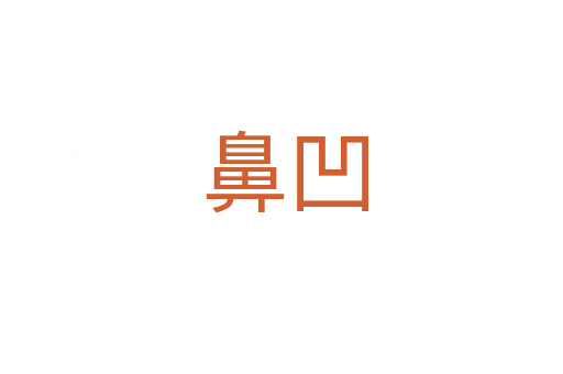 鼻凹