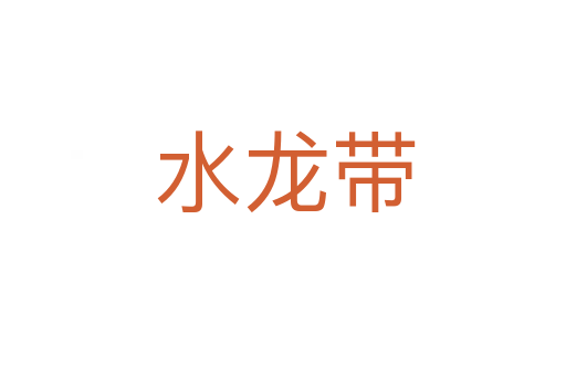 水龙带