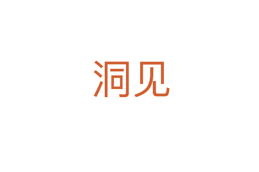 洞见