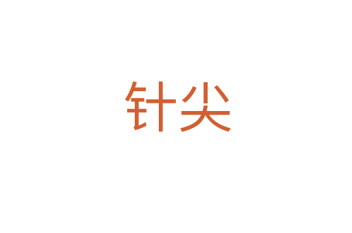 针尖