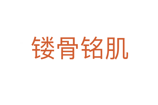 镂骨铭肌