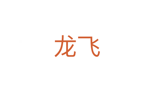 龙飞