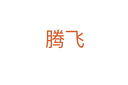 腾飞