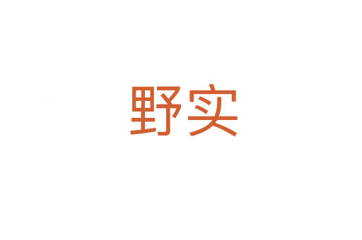 野实