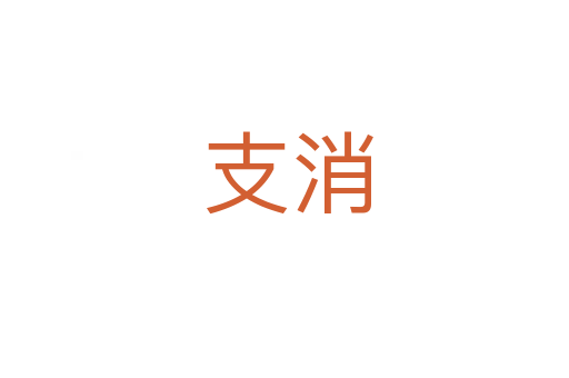 支消