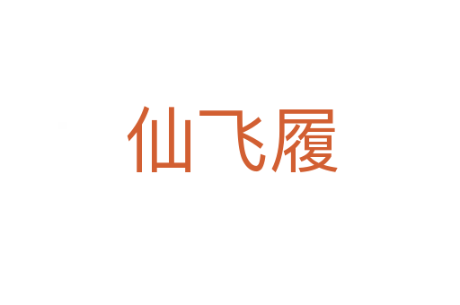 仙飞履