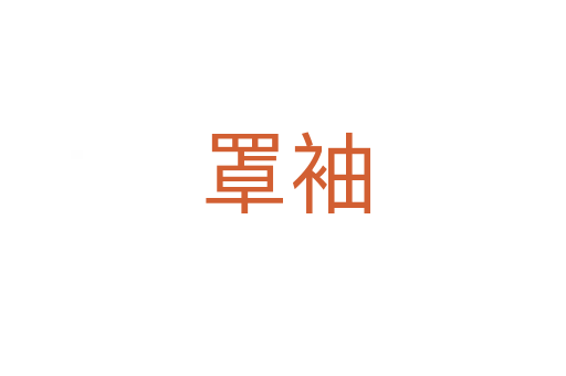 罩袖