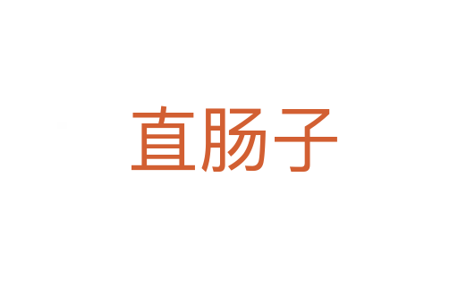 直肠子