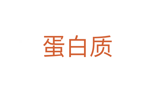 蛋白质