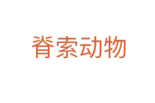脊索动物