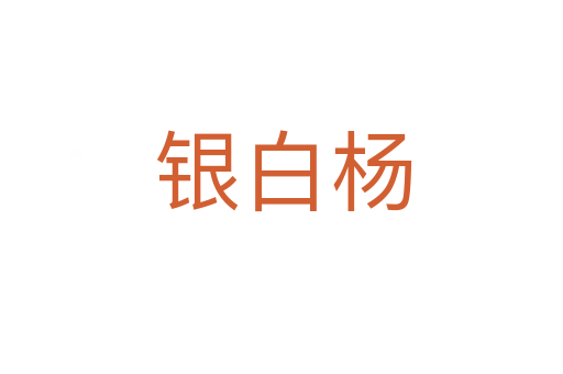 银白杨