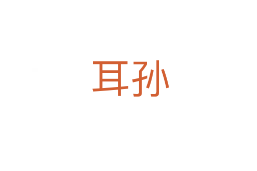 耳孙
