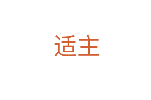 适主