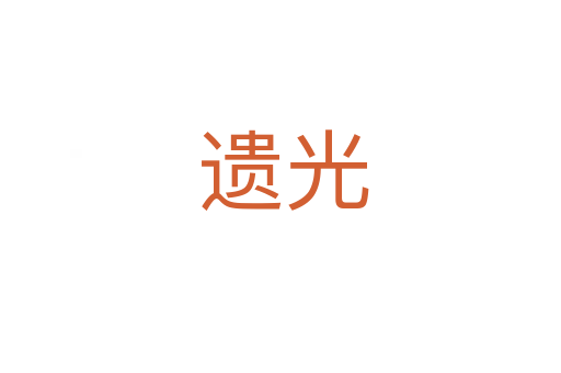遗光