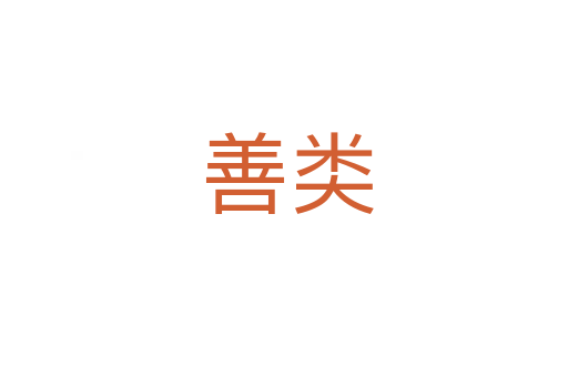 善类