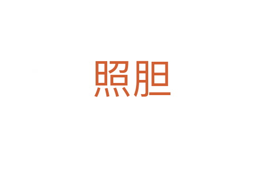 照胆