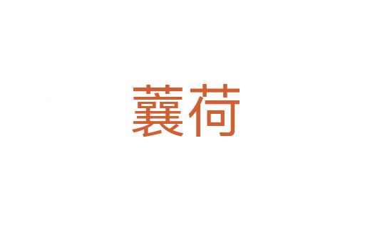 蘘荷