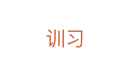 训习