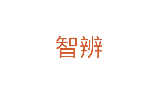 智辨
