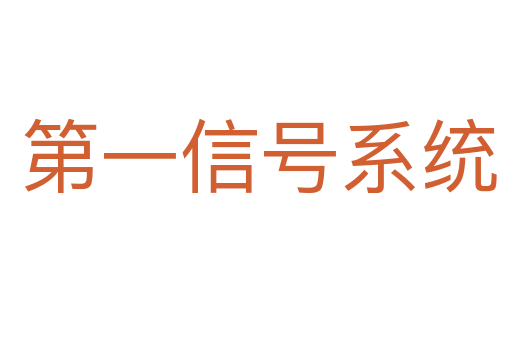 第一信号系统