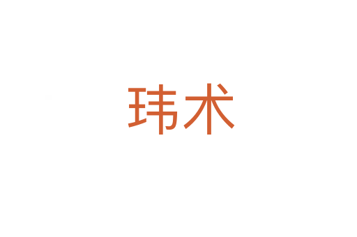 玮术