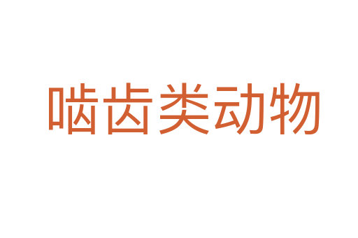 啮齿类动物
