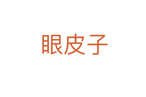 眼皮子