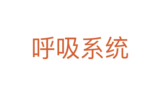 呼吸系统