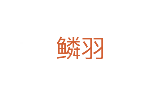 鳞羽