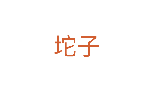 坨子