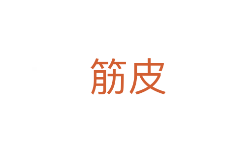 筋皮