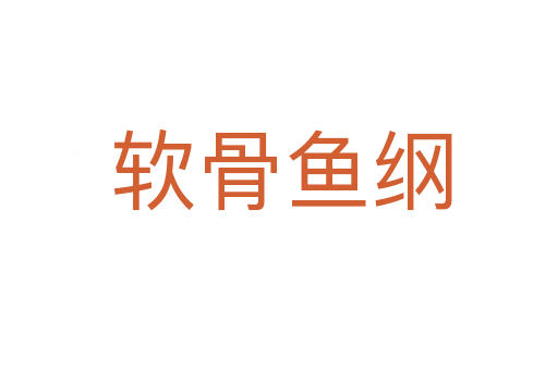 软骨鱼纲