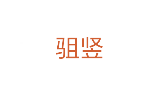 驵竖
