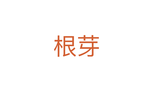 根芽