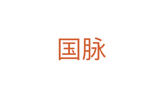国脉