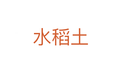 水稻土