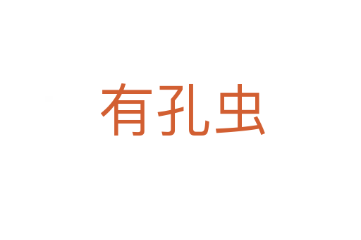有孔虫