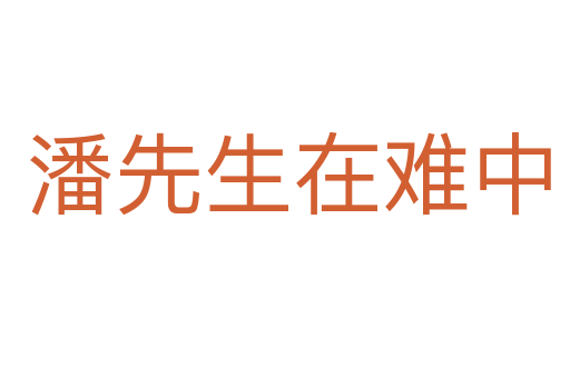 潘先生在难中