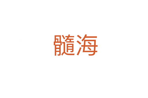 髓海