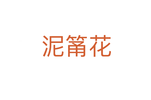 泥筩花