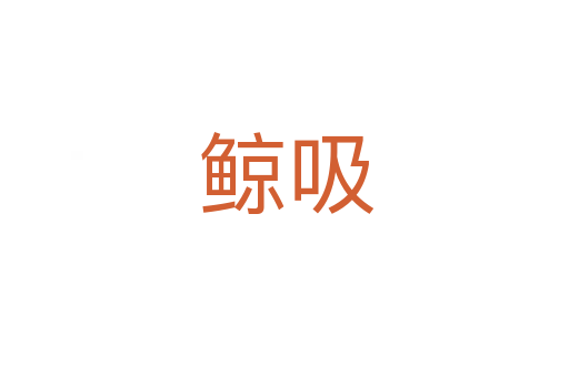 鲸吸
