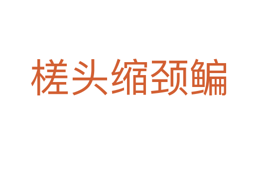 槎头缩颈鳊