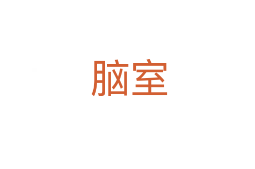 脑室